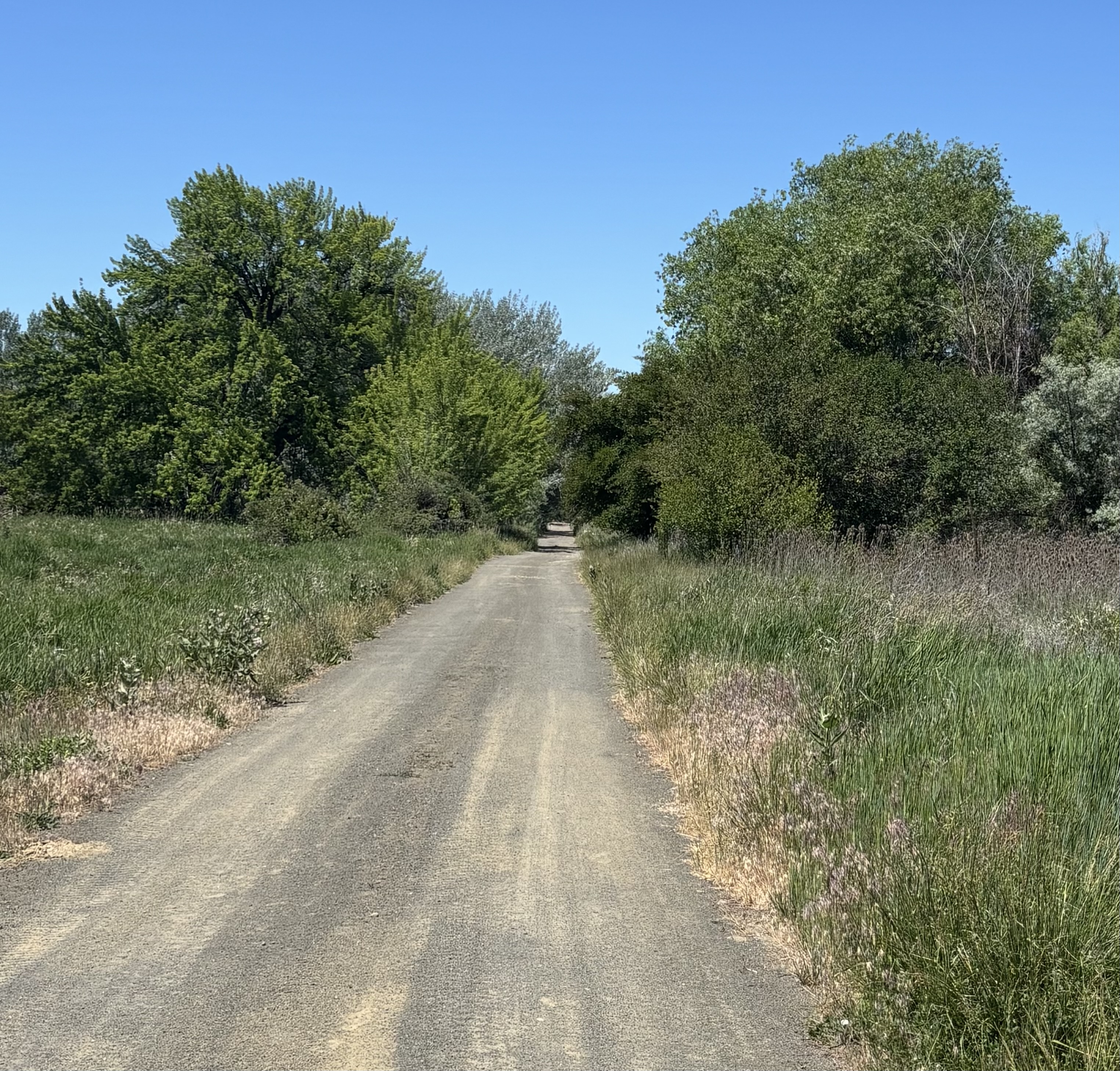 Trail